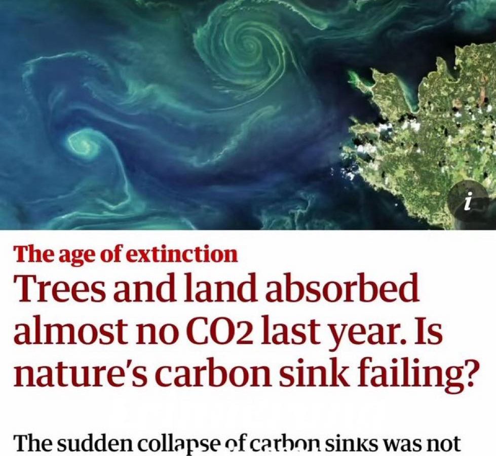 خبير يُحذّر: الأشجار والأراضي توقفت عن امتصاص ثاني أكسيد الكربون وهذه كارثة!