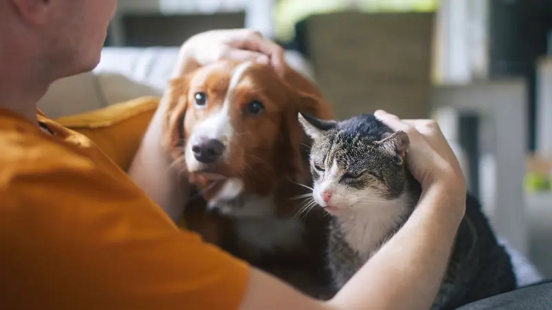 دراسة: اقتناء كلب يقلل احتمالات إصابة الطفل بالربو