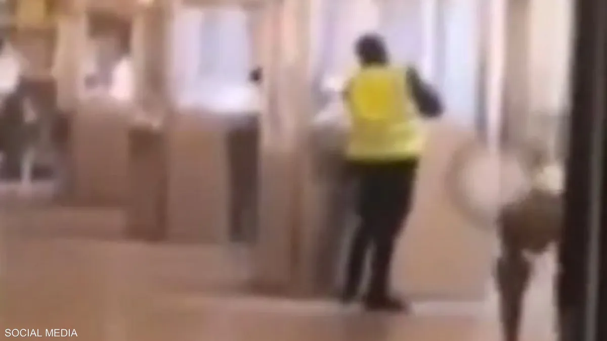 فيديو للحظة سرقة اللوفر.. والبحث متواصل عن اللصوص