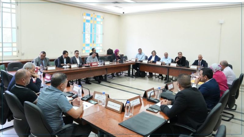 لجان البرلمان