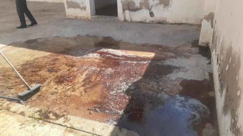 غلق المسلخ البلدي بماجل بلعباس إثر رصد إخلالات