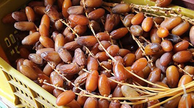 تونس تنجح في تسجيل تمورها في المواصفة الدولية للدستور الغذائي