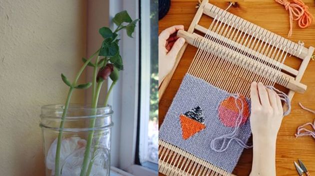 وزير التربية يوضّح بخصوص مشاريع “الفولة” و”المنسج”