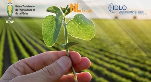 يشمل 5 ولايات.. انطلاق مشروع التهيئة العقارية للأراضي الفلاحية