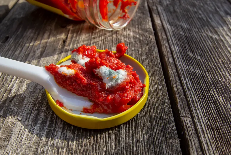 خطأ نرتكبه جميعاً.. حذار استعمال معجون الطماطم بعد إزالة العفن