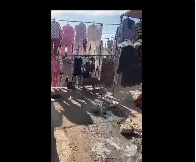 فيديو.. خنازير تهاجم السوق الاسبوعية بالقصرين