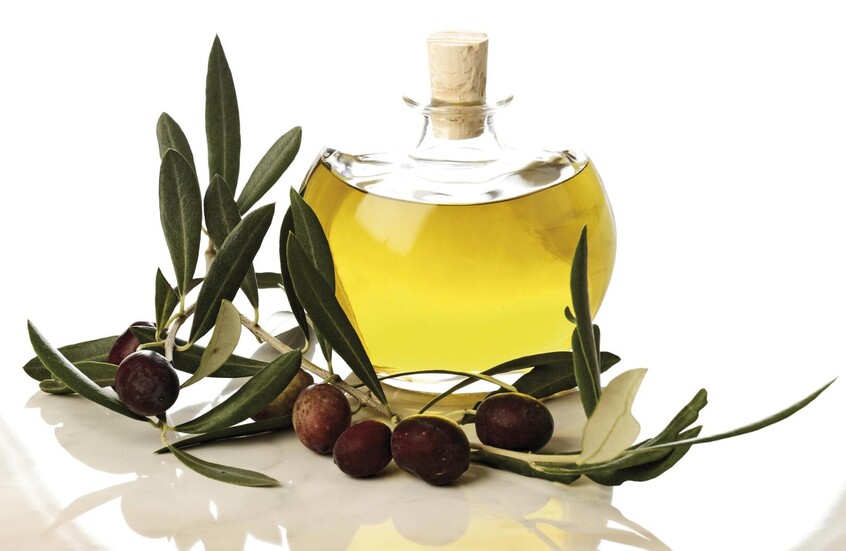 دراسة حديثة تكشف فائدة زيت الزيتون في الوقاية من السمنة