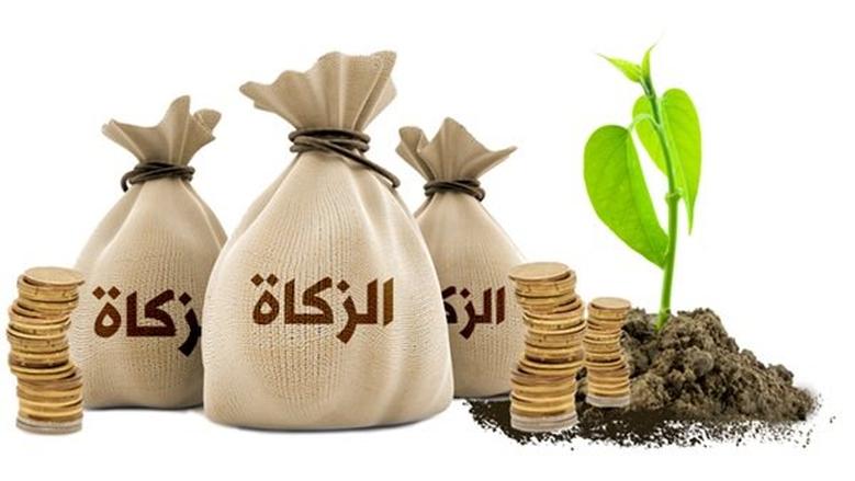 مقدار زكاة الزيتون والتمر وسائر الثمار