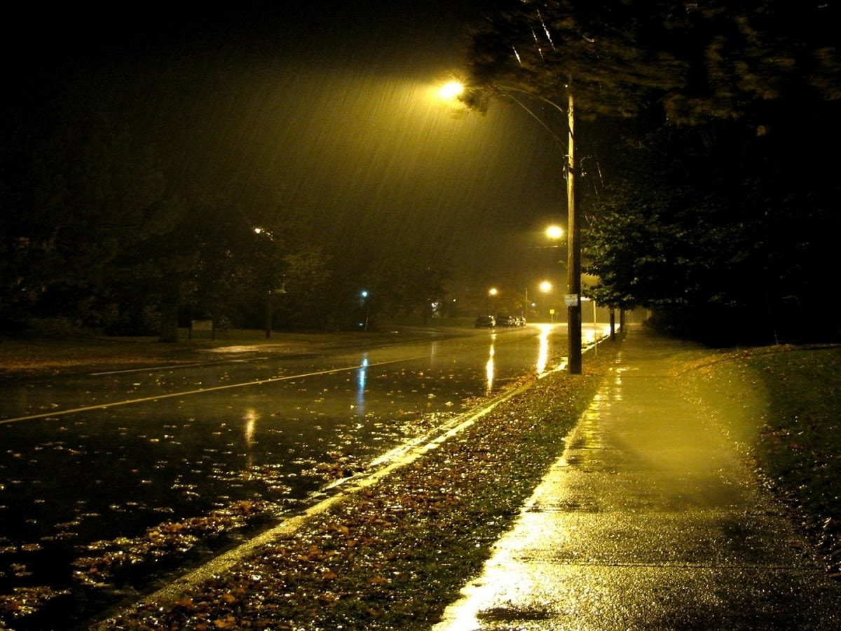 طقس ليل 9 ديسمبر 2025.. أجواء غائمة مع ضباب طقس ليل 9 ديسمبر 2025.. أجواء غائمة مع ضباب