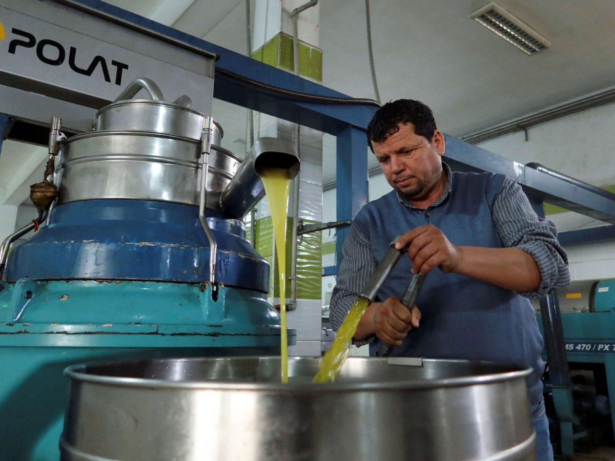 مدنين/ برنامج ترويجي لزيت الزيتون واستراتيجية لمعالجة صعوبات الإنتاج مدنين/ برنامج ترويجي لزيت الزيتون واستراتيجية لمعالجة صعوبات الإنتاج