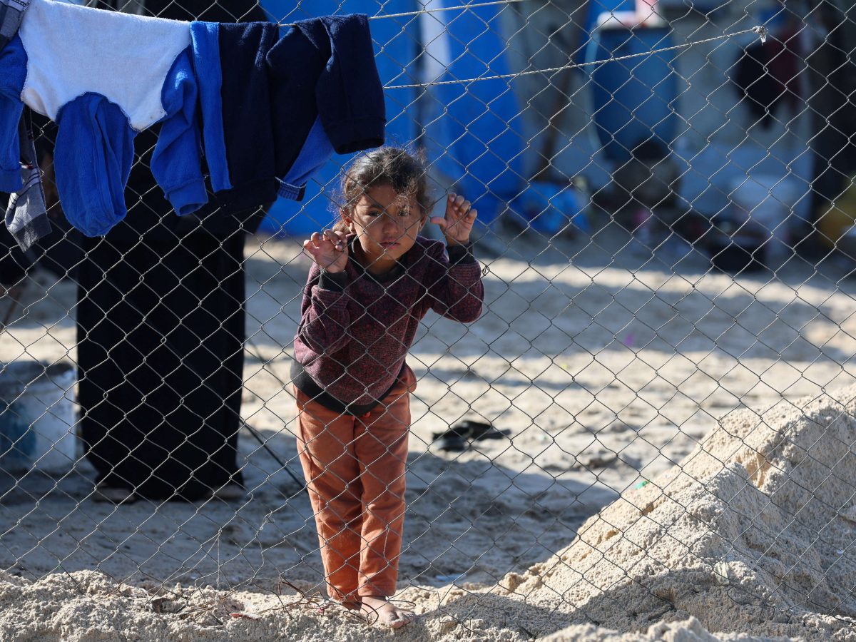 أمريكا تسعى لنشر قوات دولية في غزة مطلع العام أمريكا تسعى لنشر قوات دولية في غزة مطلع العام