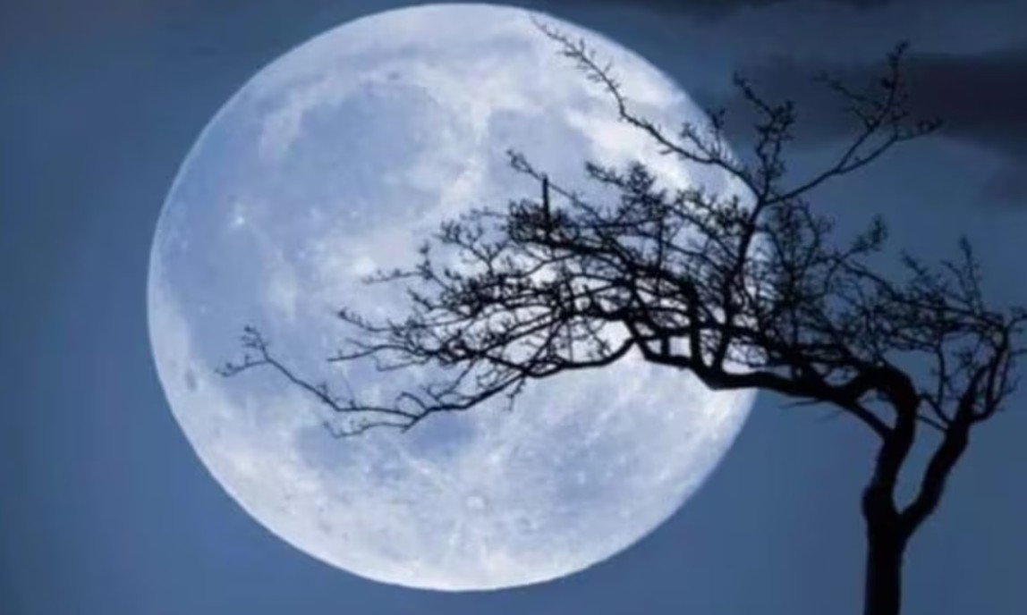 سماء ديسمبر تترقب “القمر البارد”.. ختام ظواهر الأقمار العملاقة في 2025