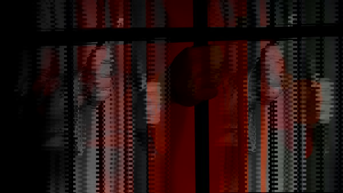 أريانة/ اغتصب الطالبة الجامعية ثم قتلها وأخفى الجثة.. هذا ما قررته المحكمة