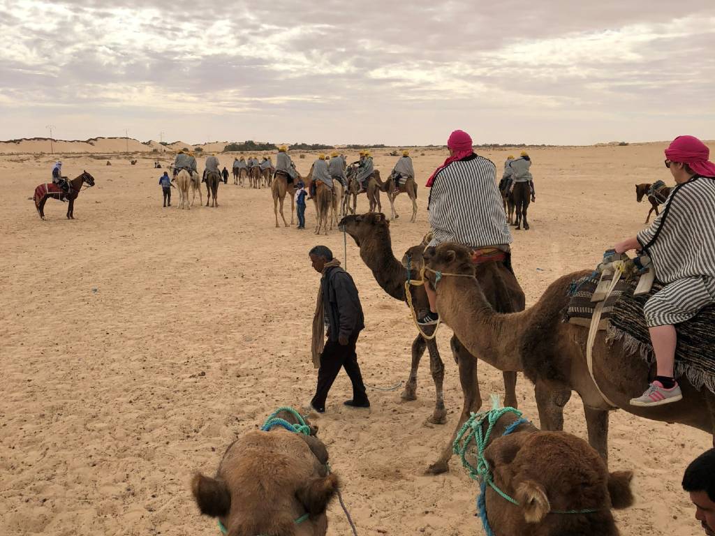 قبلي/ السياحة الصحراوية تشهد انتعاشًا قياسيًا