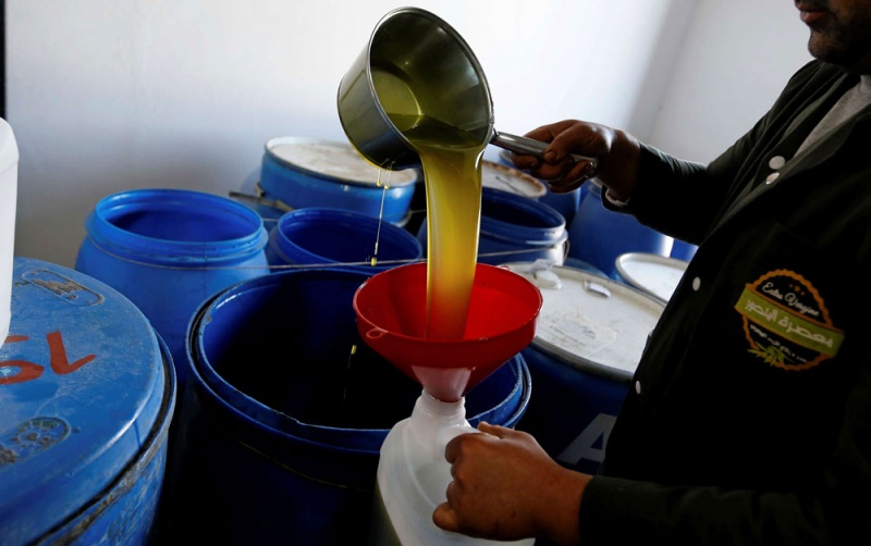 خبير دولي يؤكد: زيت الزيتون التونسي في القمة عالمياً من حيث الجودة