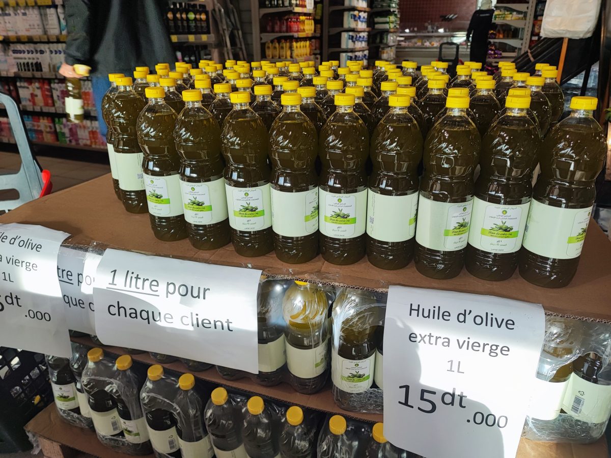 انطلاق برنامج ترويج زيت الزيتون المعلّب في السوق الداخلية