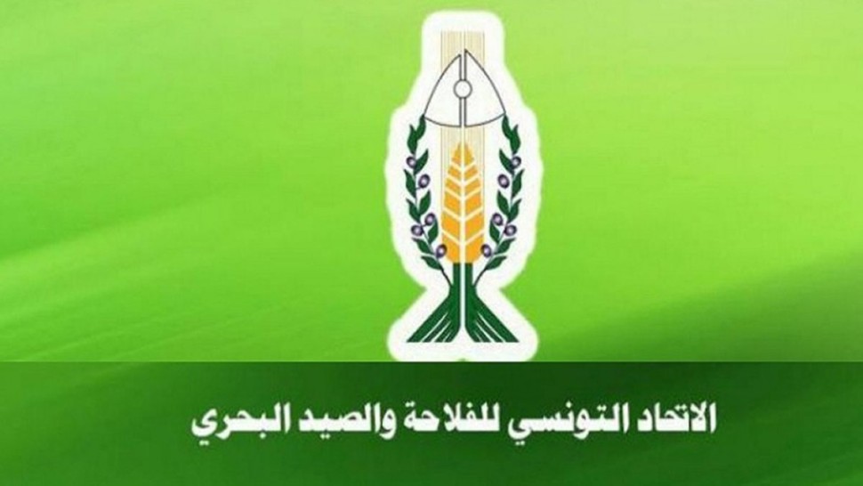 أعوان وموظفو اتحاد الفلاحة في اعتصام مفتوح