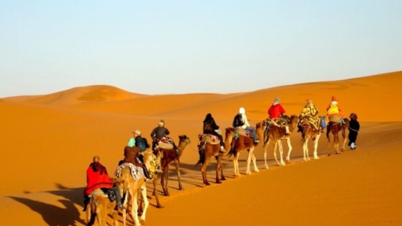 السياحة التونسية