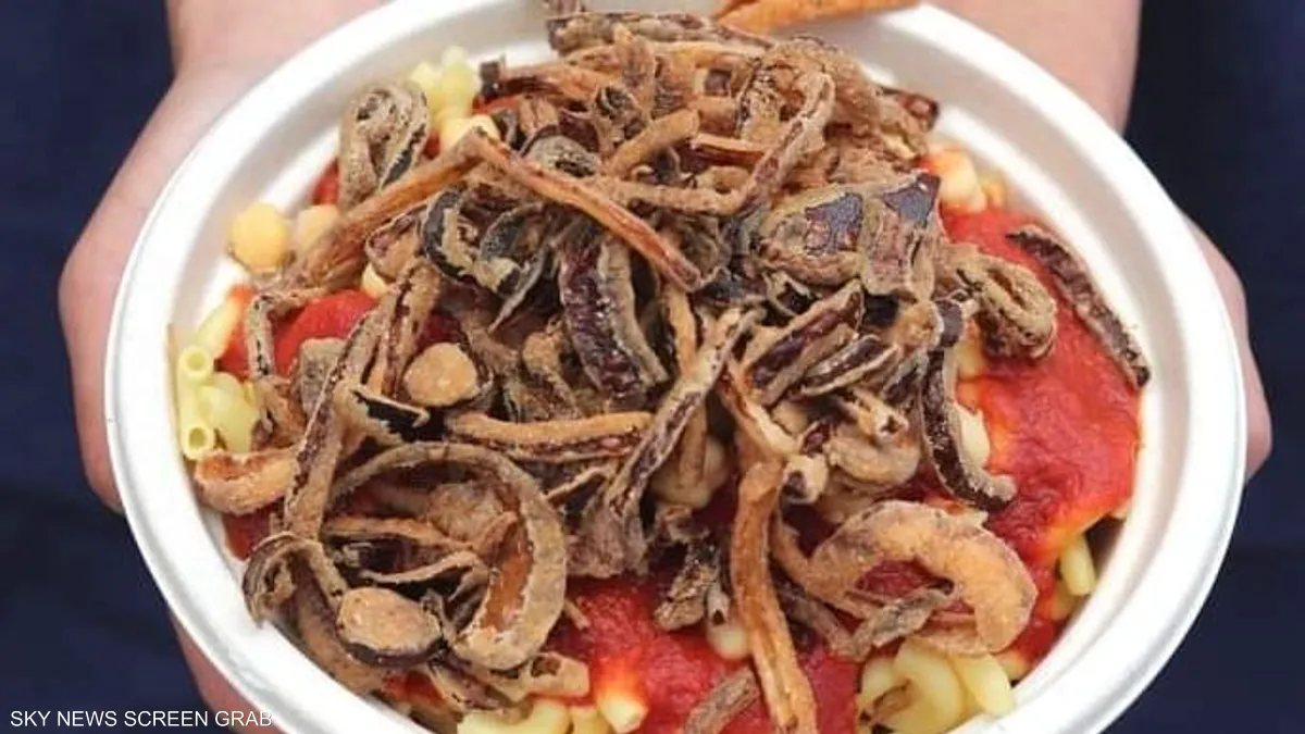 ‘الكشري المصري’ على رادار اليونسكو