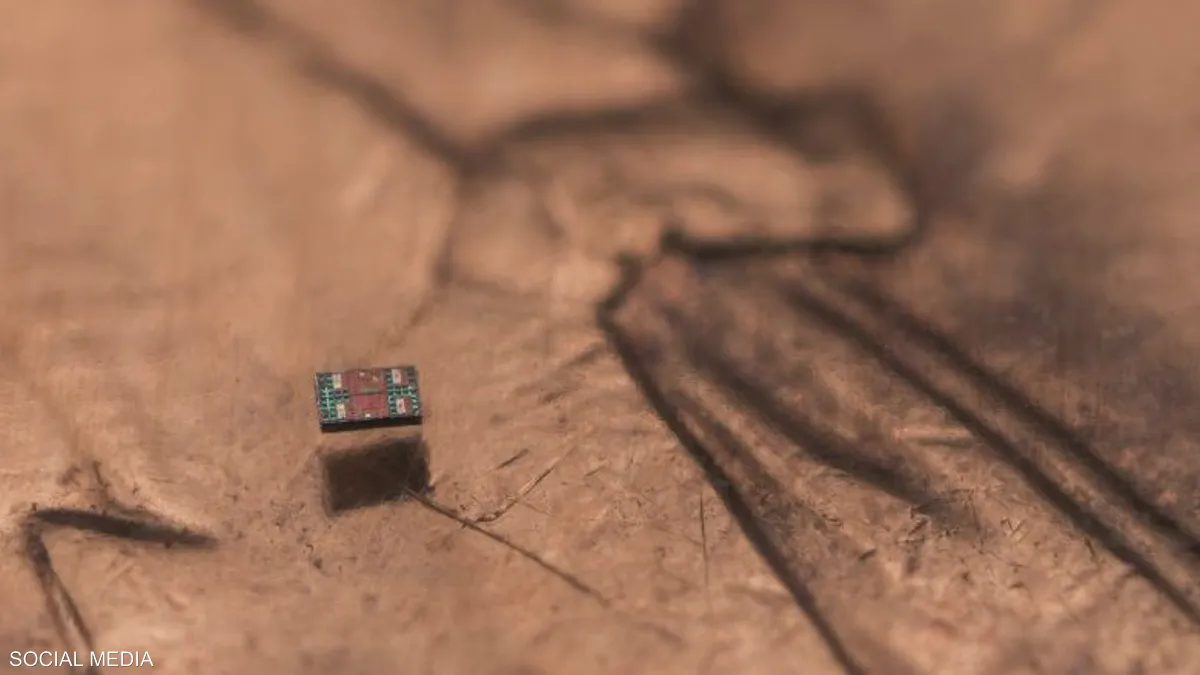 روبوت أصغر من حبة ملح.. قادر على الإحساس واتخاذ القرار