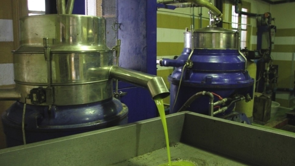 وزارة الفلاحة تعلن انطلاق برنامج تخزين زيت الزيتون