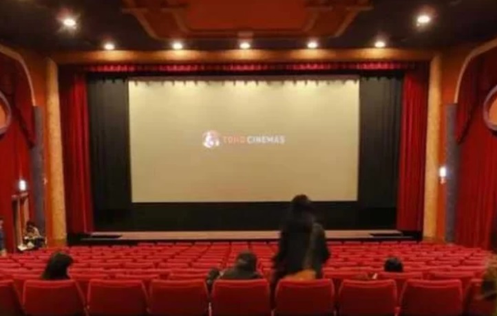 سينما البالاص