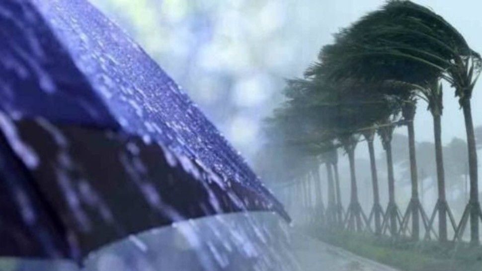 خبير طقس: كميات هامة من الغيث النافع هذا الأسبوع خبير طقس: كميات هامة من الغيث النافع هذا الأسبوع