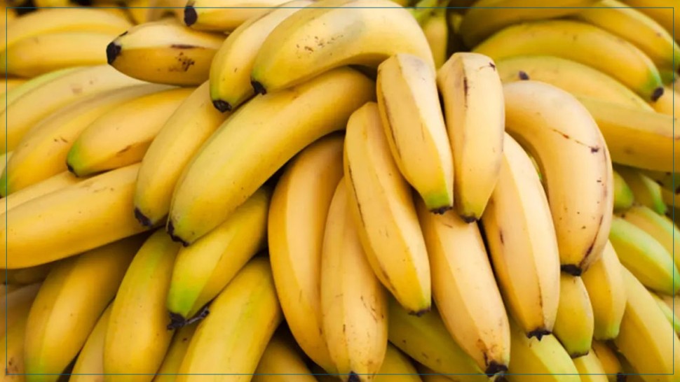 سوسة/ حجز كميات هامة من الموز الفاسد