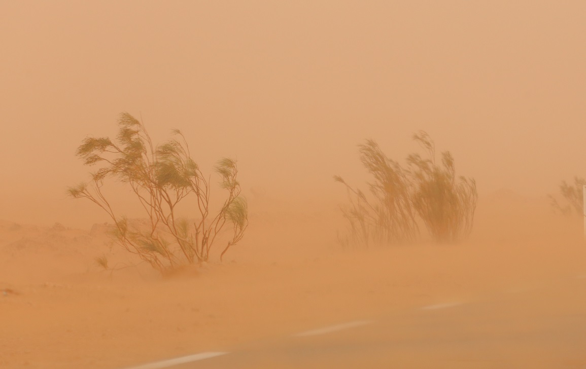 تطاوين/ تحذيرات مرورية بسبب رياح رملية