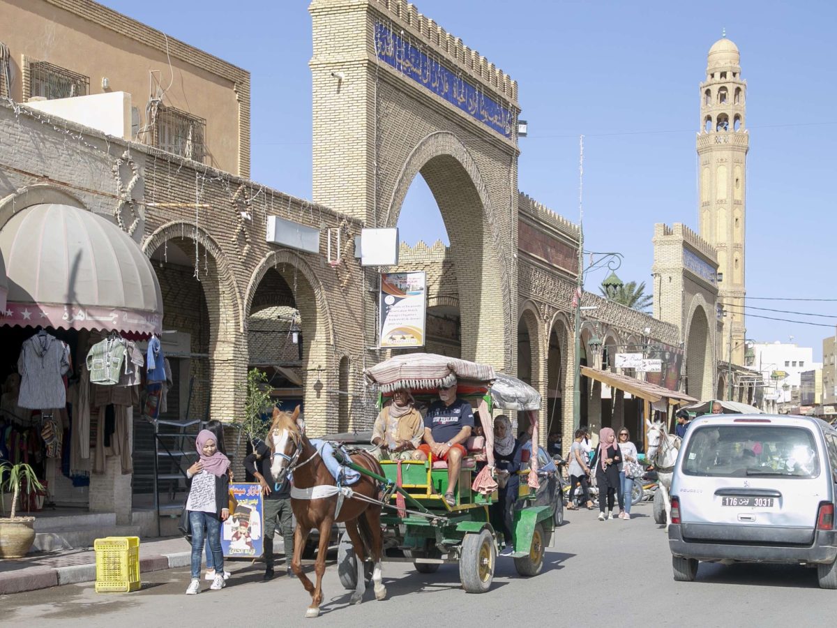 توزر/ برنامج تظاهرات جديدة لتعزيز النشاط السياحي