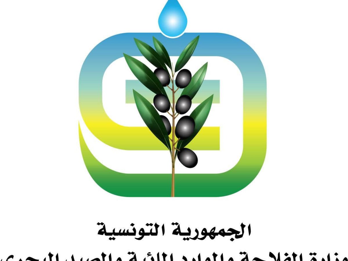 وزارة الفلاحة تحذّر من مرض “بومريرة” بعد نزول الأمطار