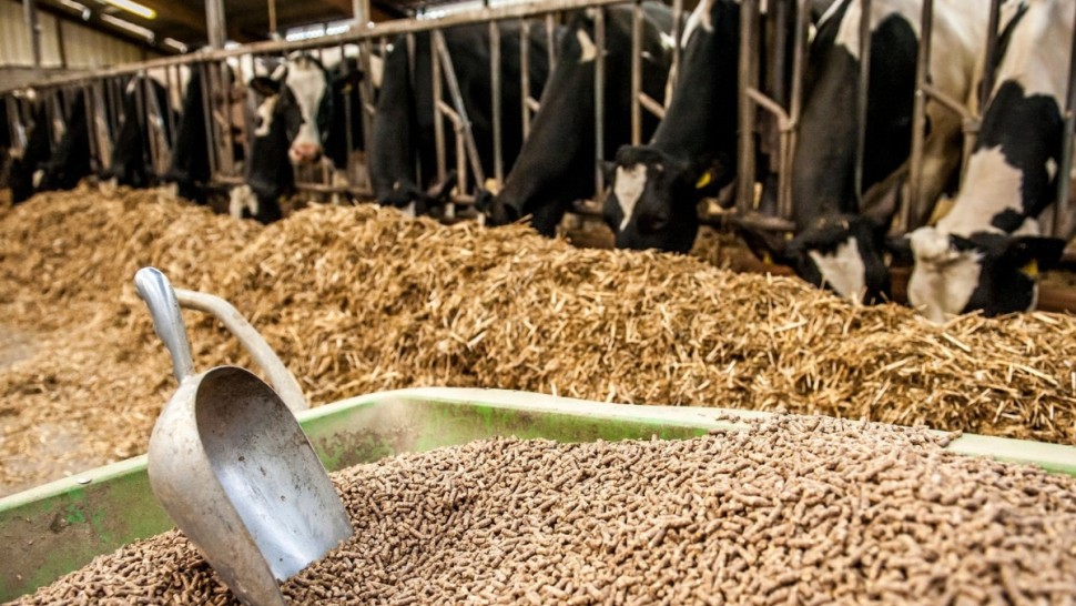 القيروان/ احتقان في صفوف الفلاحين ومربي الماشية