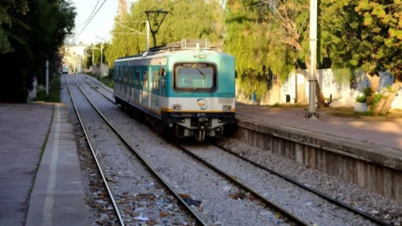 الشبكة الحديدية