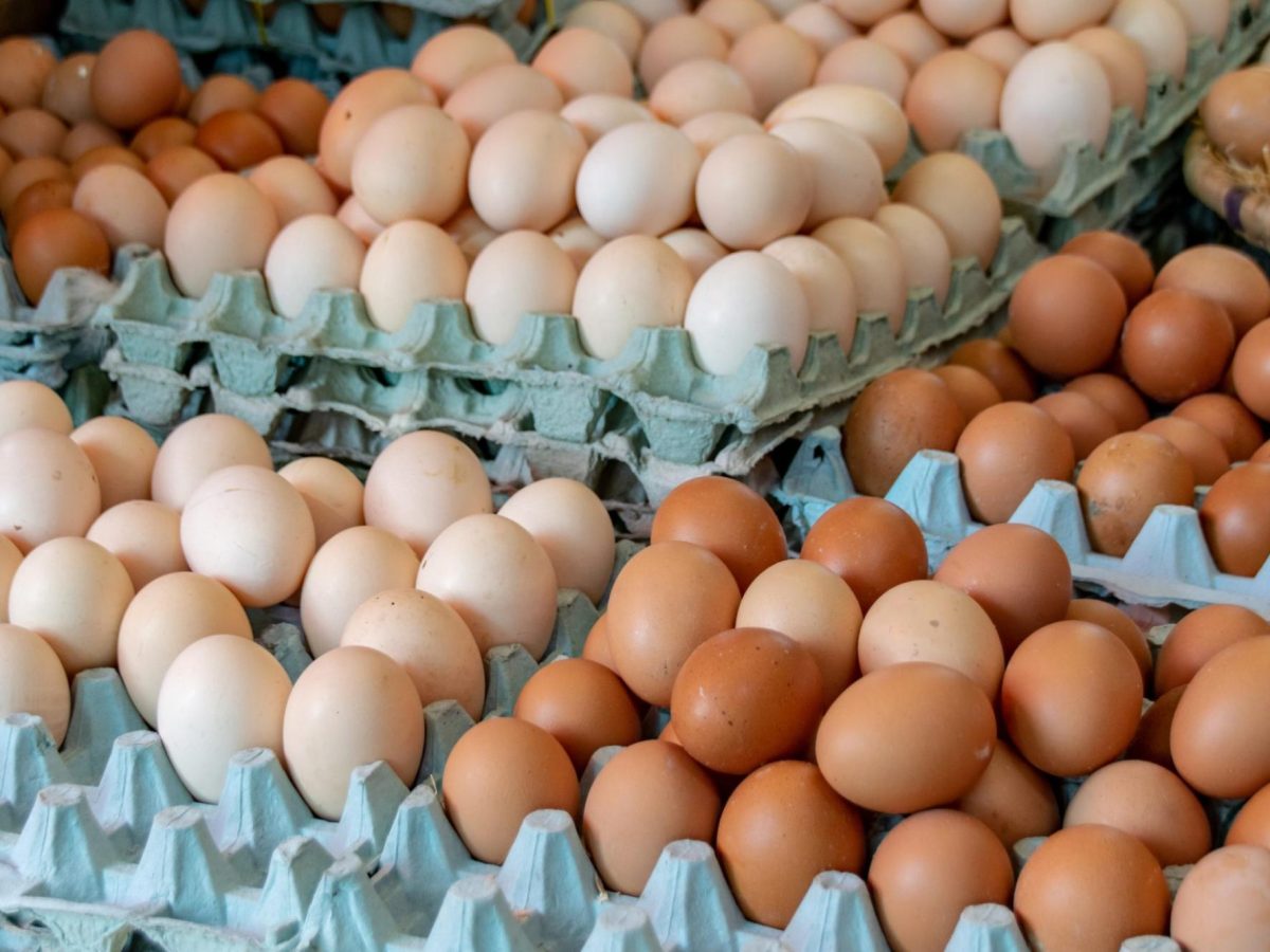 أسعار البيض في رمضان.. التفاصيل