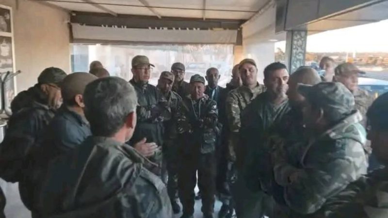 حيوان مفترس