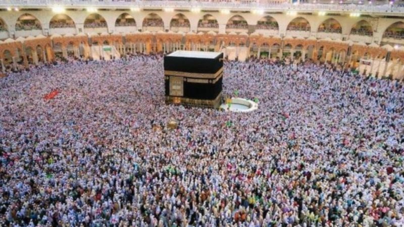 شركات وهمية للج