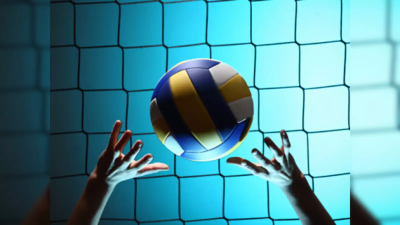 كرة الطائرة