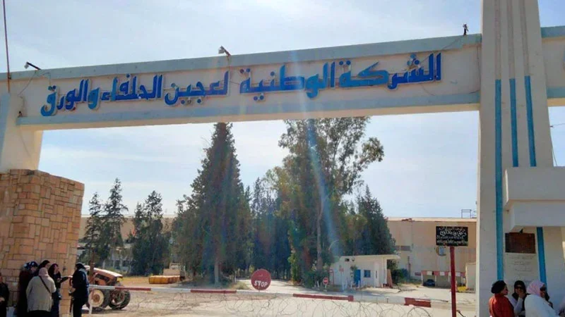 معمل الحلفاء