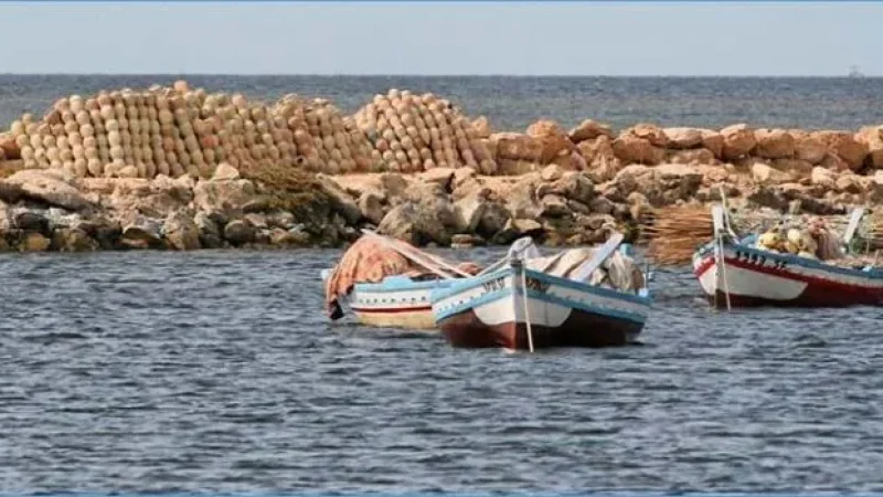 وزارة الفلاحة