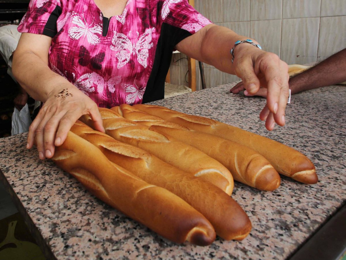 مقترح قانون لإرساء “الخبز الموحد” وترشيد منظومة الدعم مقترح قانون لإرساء “الخبز الموحد” وترشيد منظومة الدعم