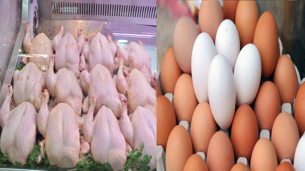 وزارة التجارة/ برنامج التزويد لشهر رمضان وزارة التجارة/ برنامج التزويد لشهر رمضان