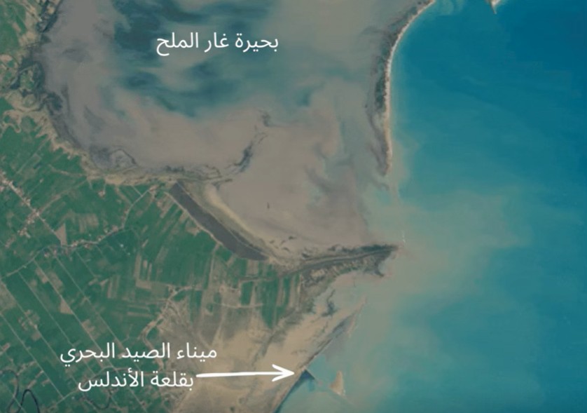 “كوكو بيتش” على حافة الاختفاء