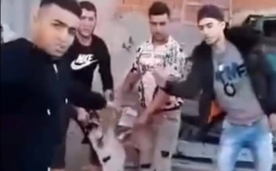 المنستير/ فتح تحقيق بعد تداول فيديو اعتداء وحشي على كلب بالمكنين