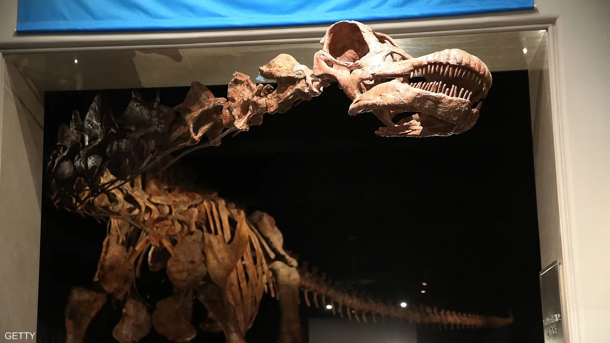 الذكاء الاصطناعي يفك لغز آثار أقدام الديناصورات