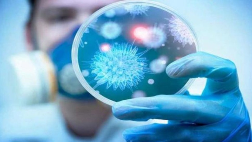 عميد البياطرة: أغلب الأمراض الجرثومية التي تصيب الإنسان منقولة من الحيوانات