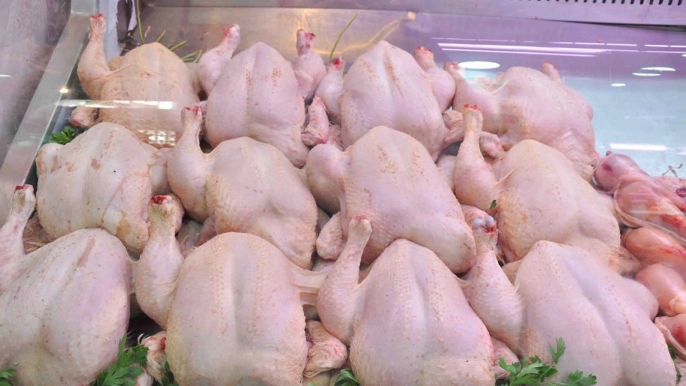 تحقيق حكومي ضد الاحتكار في سوق الدواجن خلال رمضان