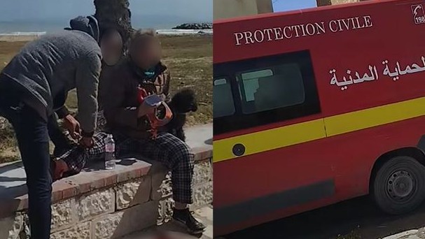 كلاب سائبة تنهش امرأة بكورنيش حمام الأنف