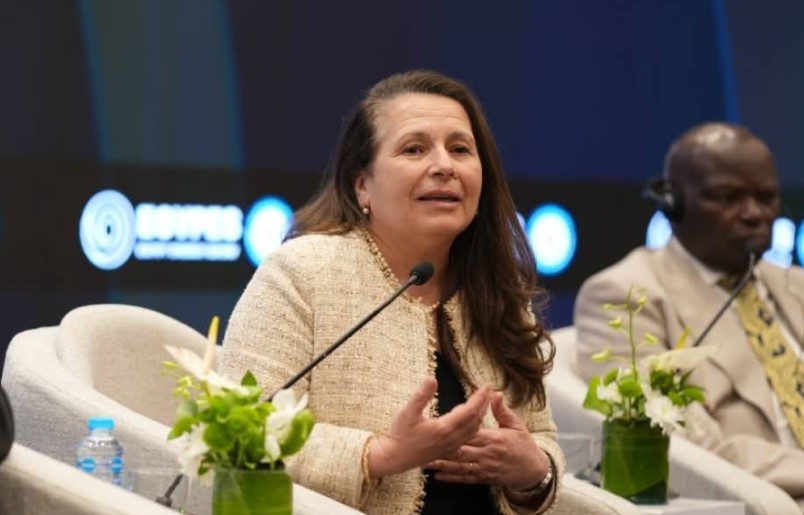 وزيرة الطاقة تدعو لتعزيز الربط الكهربائي بين إفريقيا وأوروبا