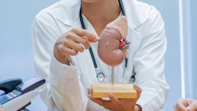 أمراض الكلى