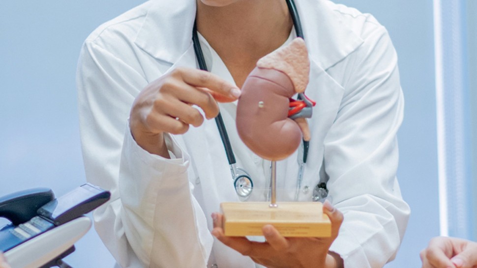 مركز زرع الأعضاء: 1500 مريض ينتظرون التبرع بكلى